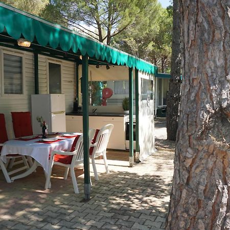 Chalets Met Buitenkeuken Op Camping Lei Suves - Joycasa Roquebrune-sur Argens Exterior foto