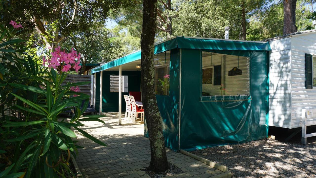 Chalets Met Buitenkeuken Op Camping Lei Suves - Joycasa Roquebrune-sur Argens Exterior foto