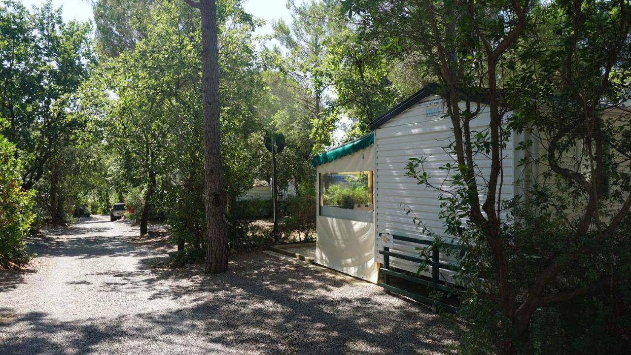 Chalets Met Buitenkeuken Op Camping Lei Suves - Joycasa Roquebrune-sur Argens Exterior foto