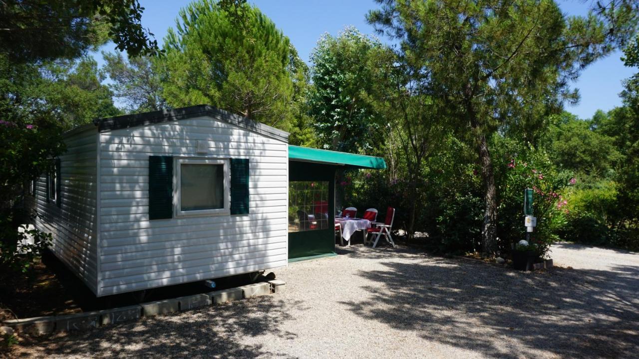 Chalets Met Buitenkeuken Op Camping Lei Suves - Joycasa Roquebrune-sur Argens Exterior foto