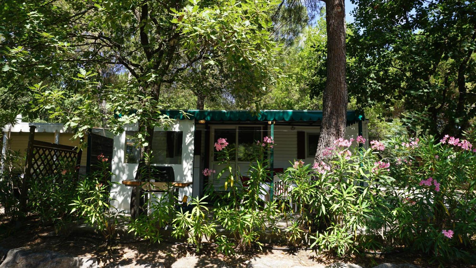 Chalets Met Buitenkeuken Op Camping Lei Suves - Joycasa Roquebrune-sur Argens Zimmer foto